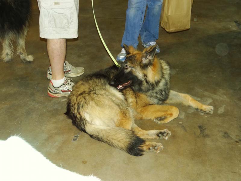 About World of Pets Expo