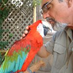 parrotbehavior