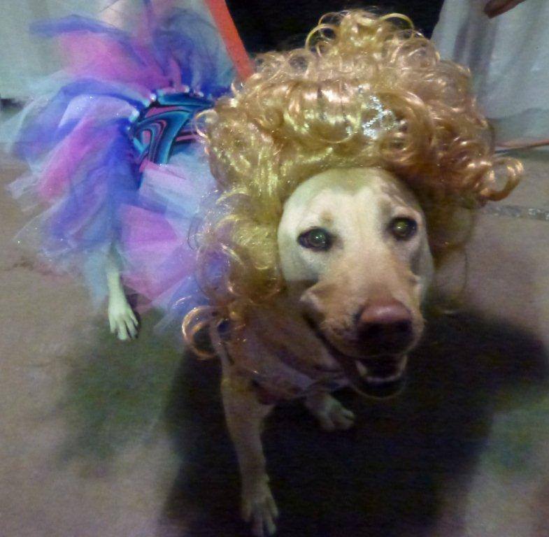costume-nov1