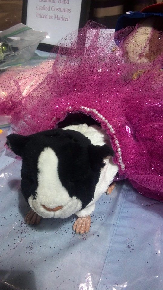 gpig-costume-nov
