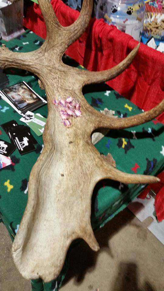 vendor-nov-antler