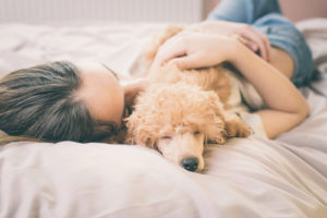 dog senses emotions