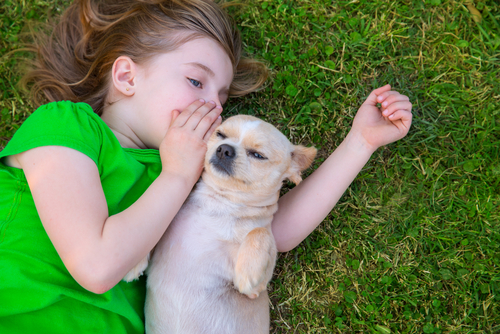 pets talk